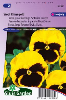 Violet, Pansy Rhinegold (Viola wittrockiana) 160 seeds SL